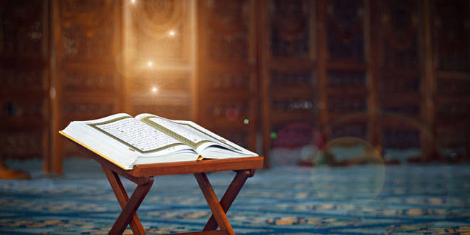 Tartibli ilm olish barcha muammolarning yechimidir