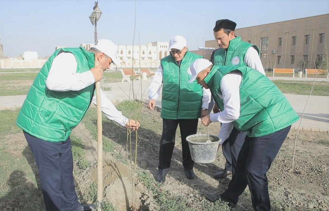 Akademiya vakillari Mir Arab oliy madrasasida daraxt ko‘chatlari ekishdi