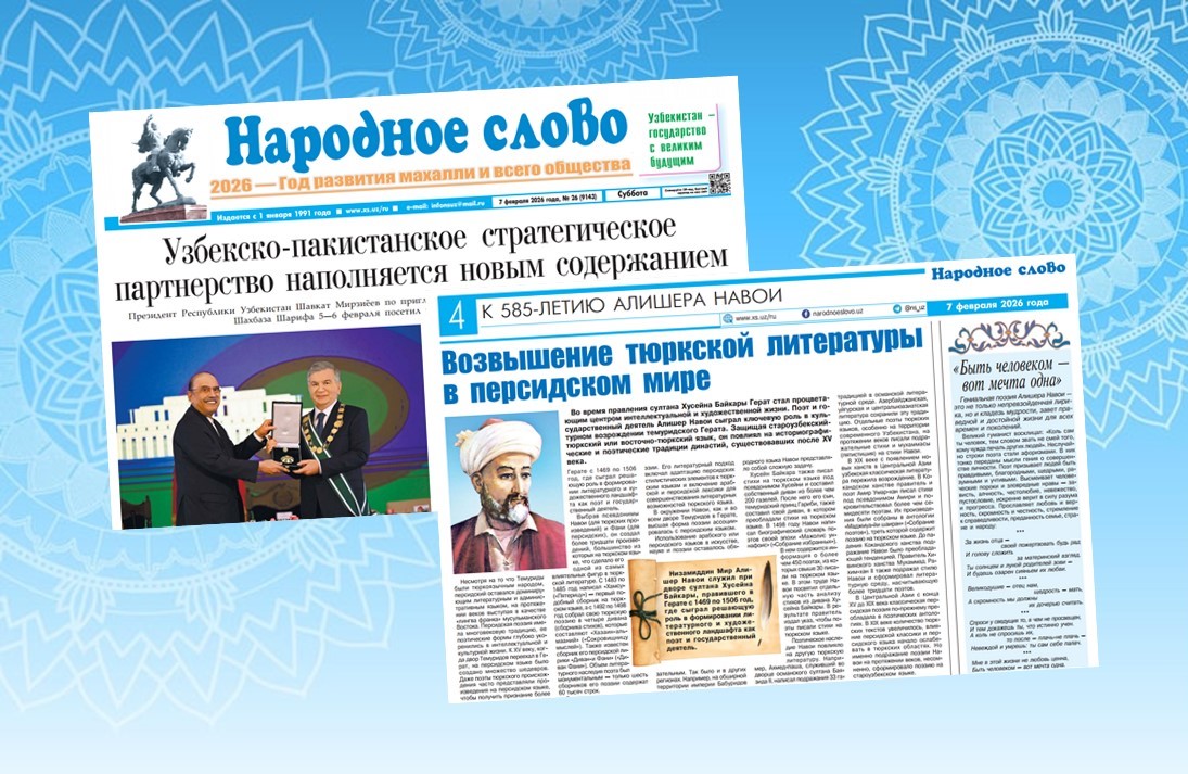 Возвышение тюркской литературы в персидском мире